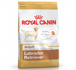 Royal Canin Labrador Retriever Adult 12 kg Köpek Maması kullananlar yorumlar